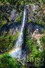 Cachoeira do Avencal