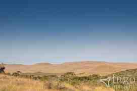 Campo do Rio Grande do Sul