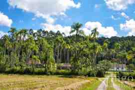 Residência de Agricultor