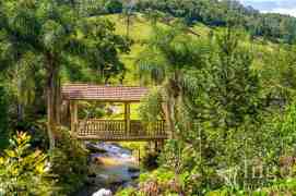 Ponte sobre Riacho